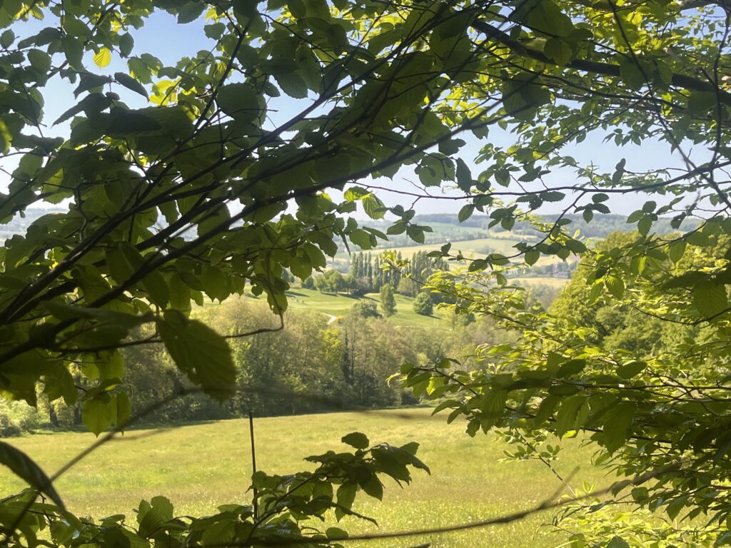 Uitzicht over het Limburgse Heuvelland tijdens een Soultrail wandeling. Een plek voor bezinning, verbinding en innerlijke transformatie.