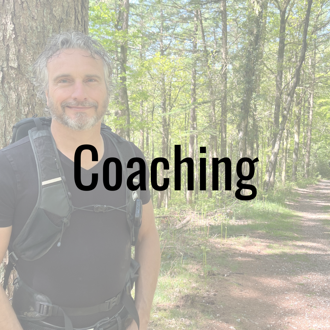 A New World door Maurice Sijstermans, aanbod coaching A New World door Maurice Sijstermans, aanbod coaching