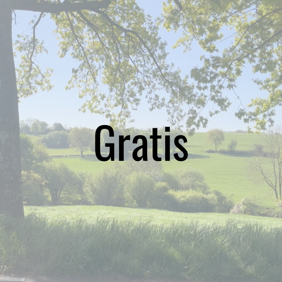 A New World coaching em training om te leven vanuit authenticiteit A New World coaching em training om te leven vanuit authenticiteit