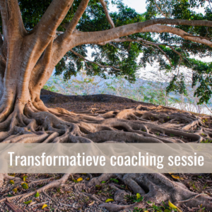 A New World door Maurice Sijstermans Transformatieve coaching